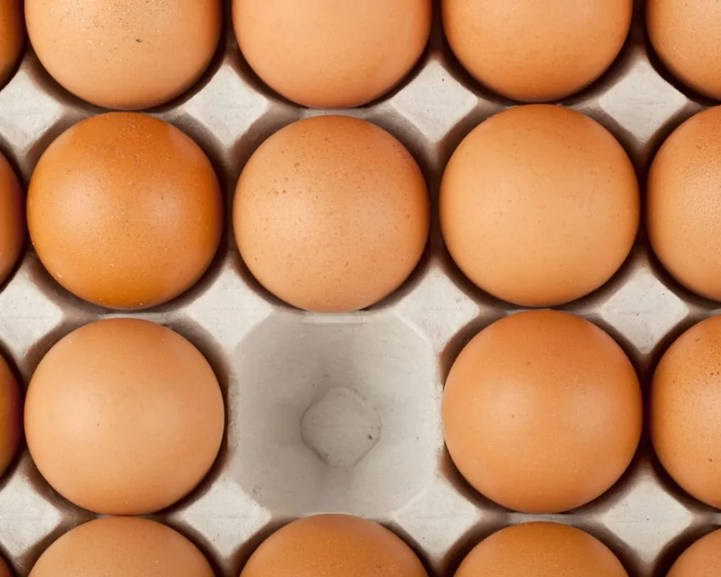 A tray of clean brown table eggs